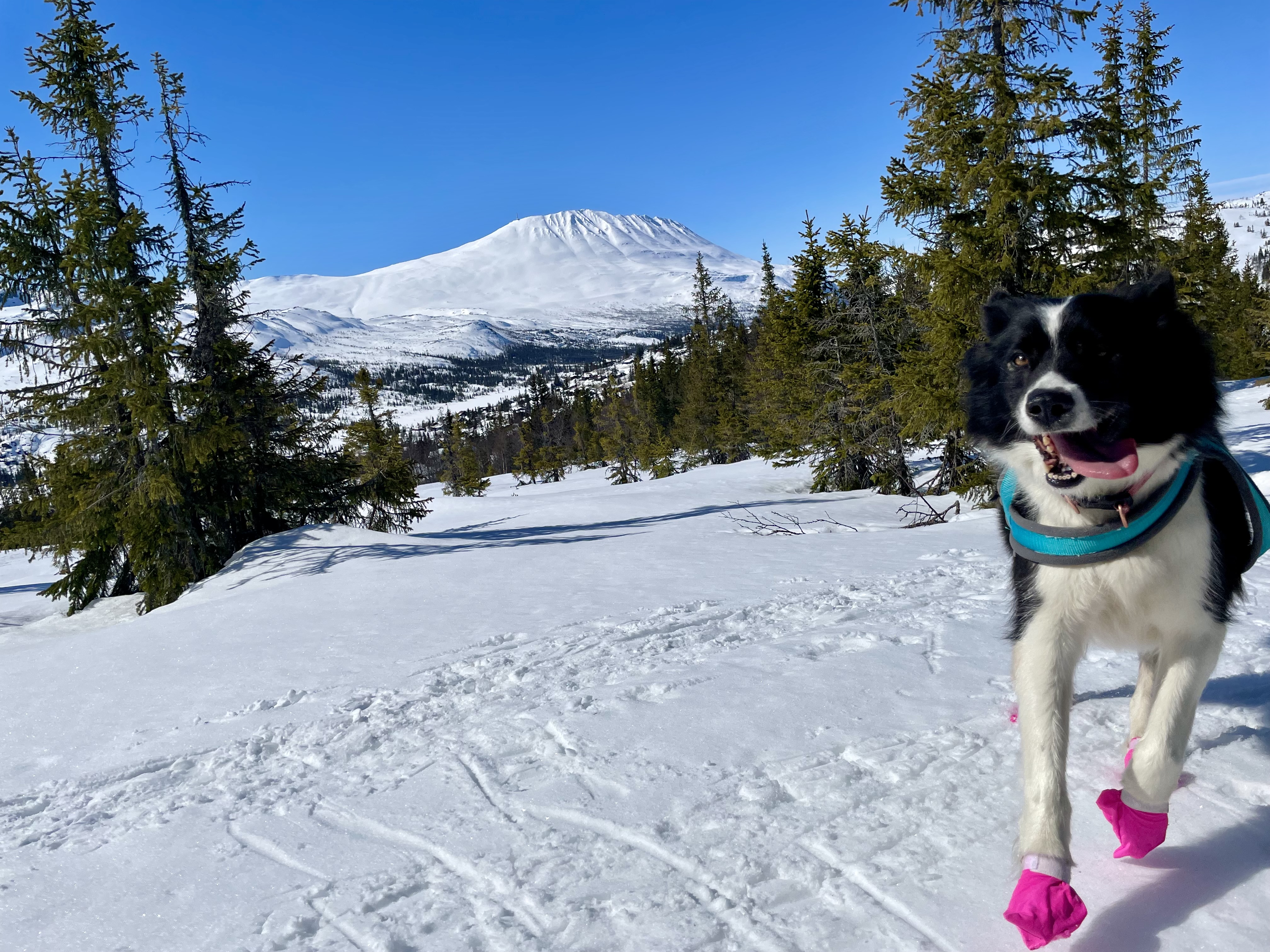 Vidstrakt landskap i Telemark med fjell, innsjø og typisk norsk natur